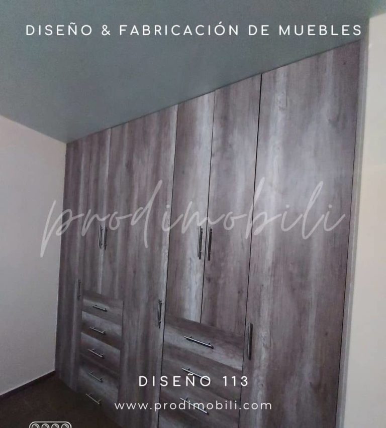 Diseño de Closet 113-C