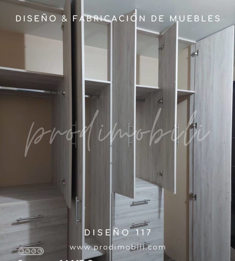 Diseño de Closet 117-B